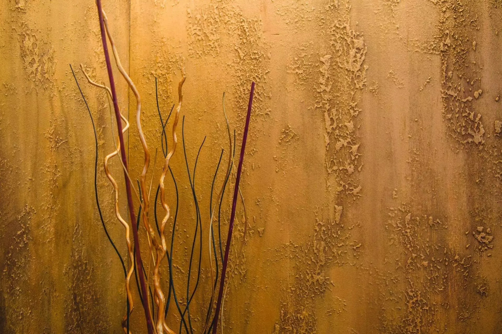 Decorazza Lucetezza - 7