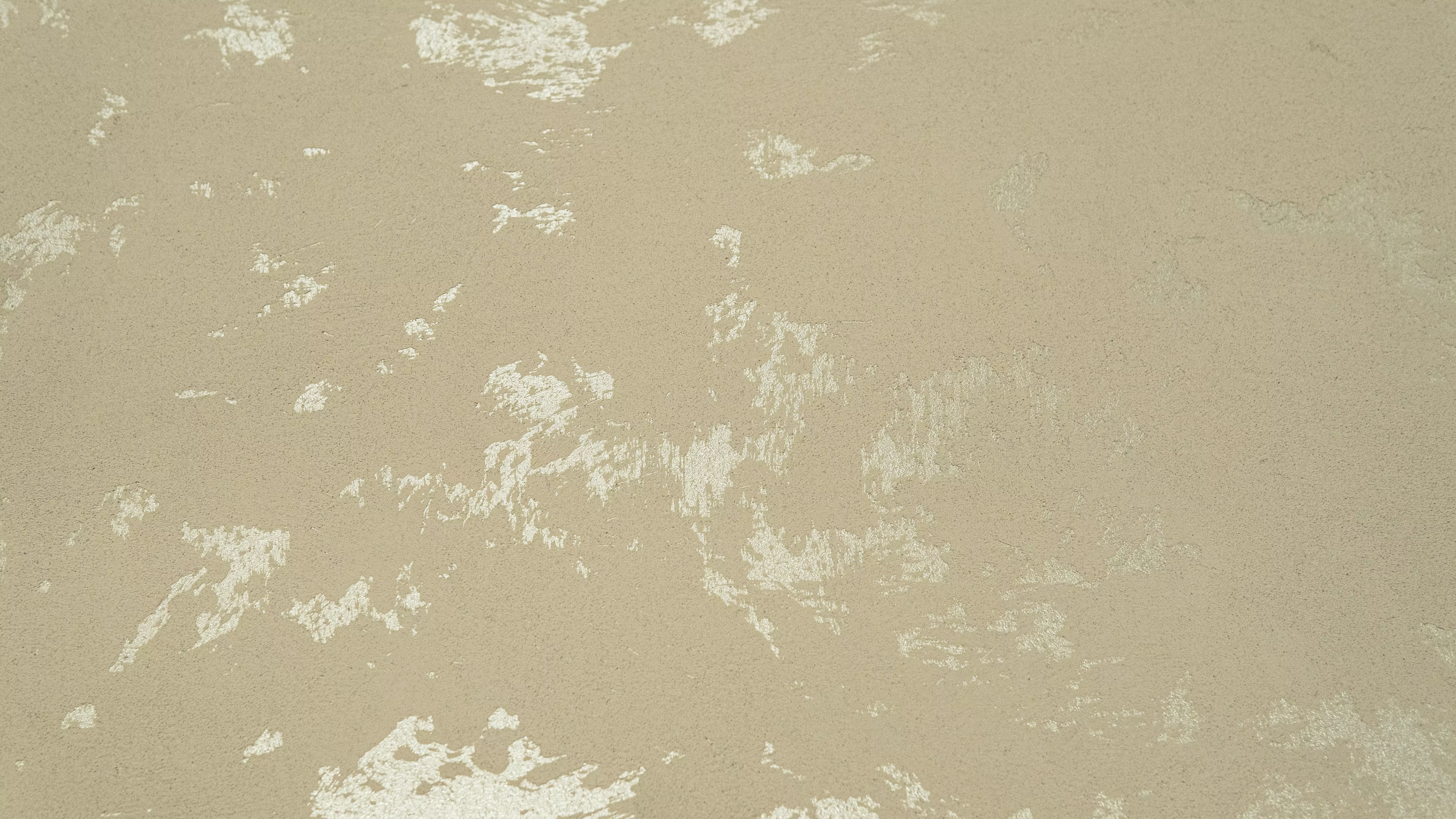 Decorazza Wall Arte - 6